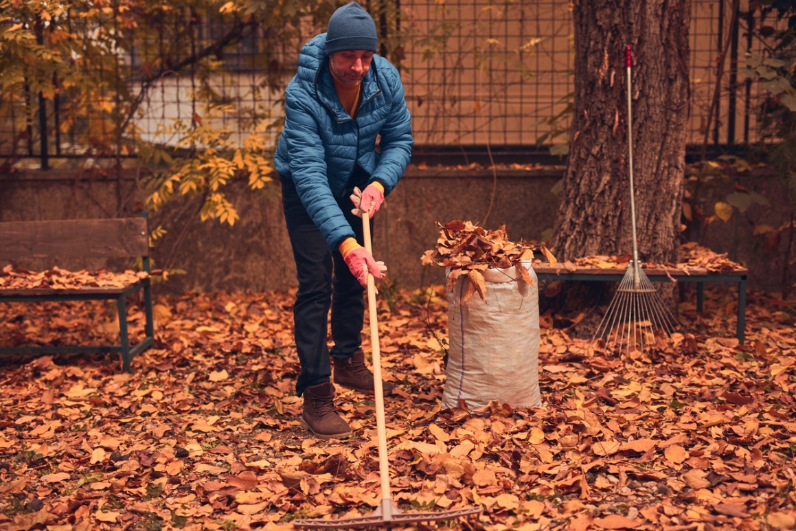 Chiropractic care for Fall. a person raking leaves
