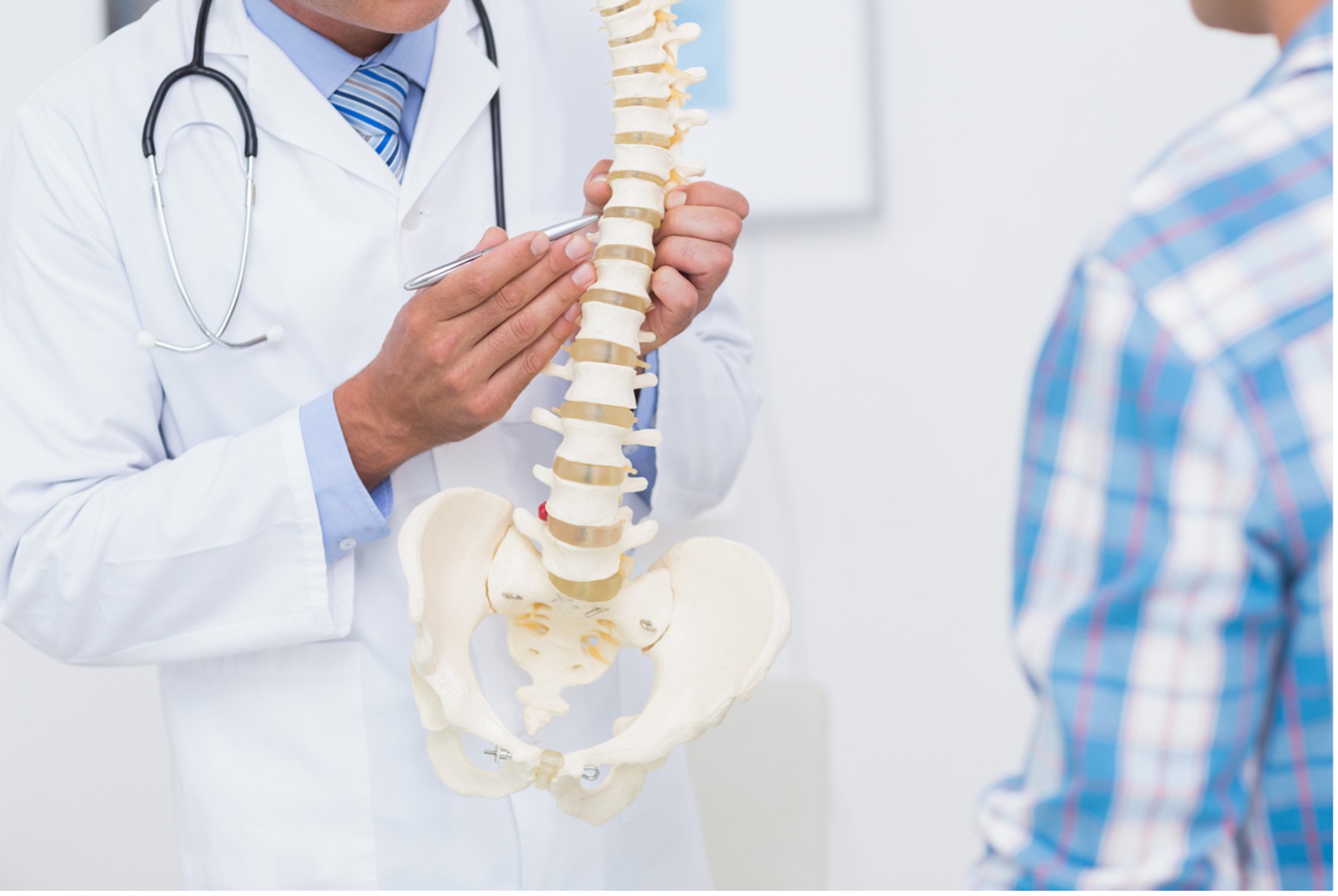 A chiropractor showing spinal column, Understanding What Chiropractic Care Can Do