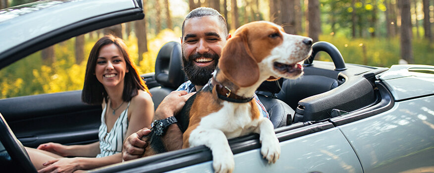 Car Accident Injury Little River