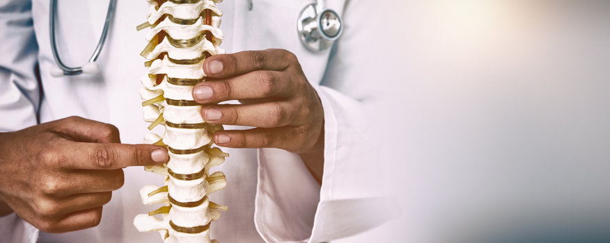 How To Choose A Chiropractor In Little River SC