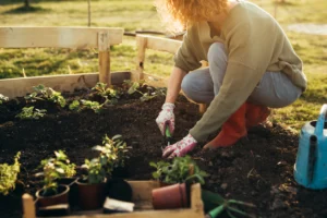 Woman gardening and planting outdoors in spring, showing bending and movement that can benefit from chiropractic adjustment
